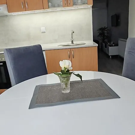 Apartment Stankovic *